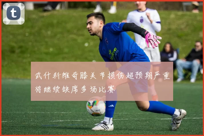 武什科维奇膝关节损伤超预期严重将继续缺席多场比赛