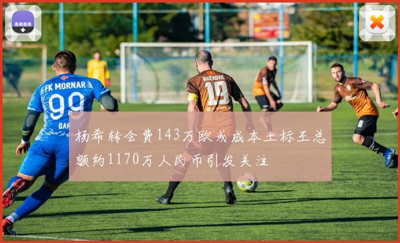 杨希转会费143万欧或成本土标王总额约1170万人民币引发关注
