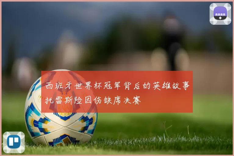 西班牙世界杯冠军背后的英雄故事托雷斯险因伤缺席决赛