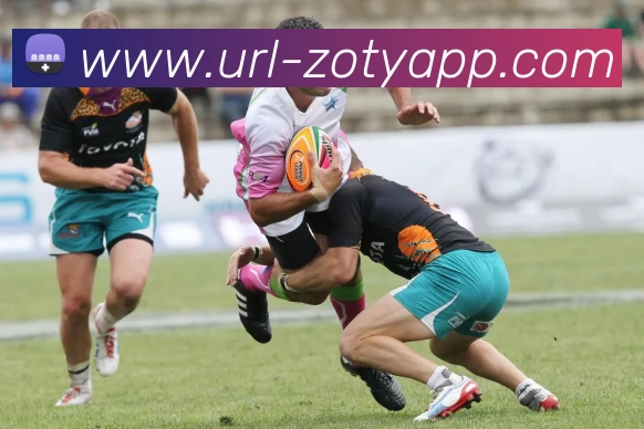 中欧体育品牌故事